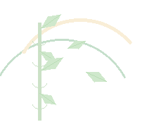 Decorative bamboo leaf line art